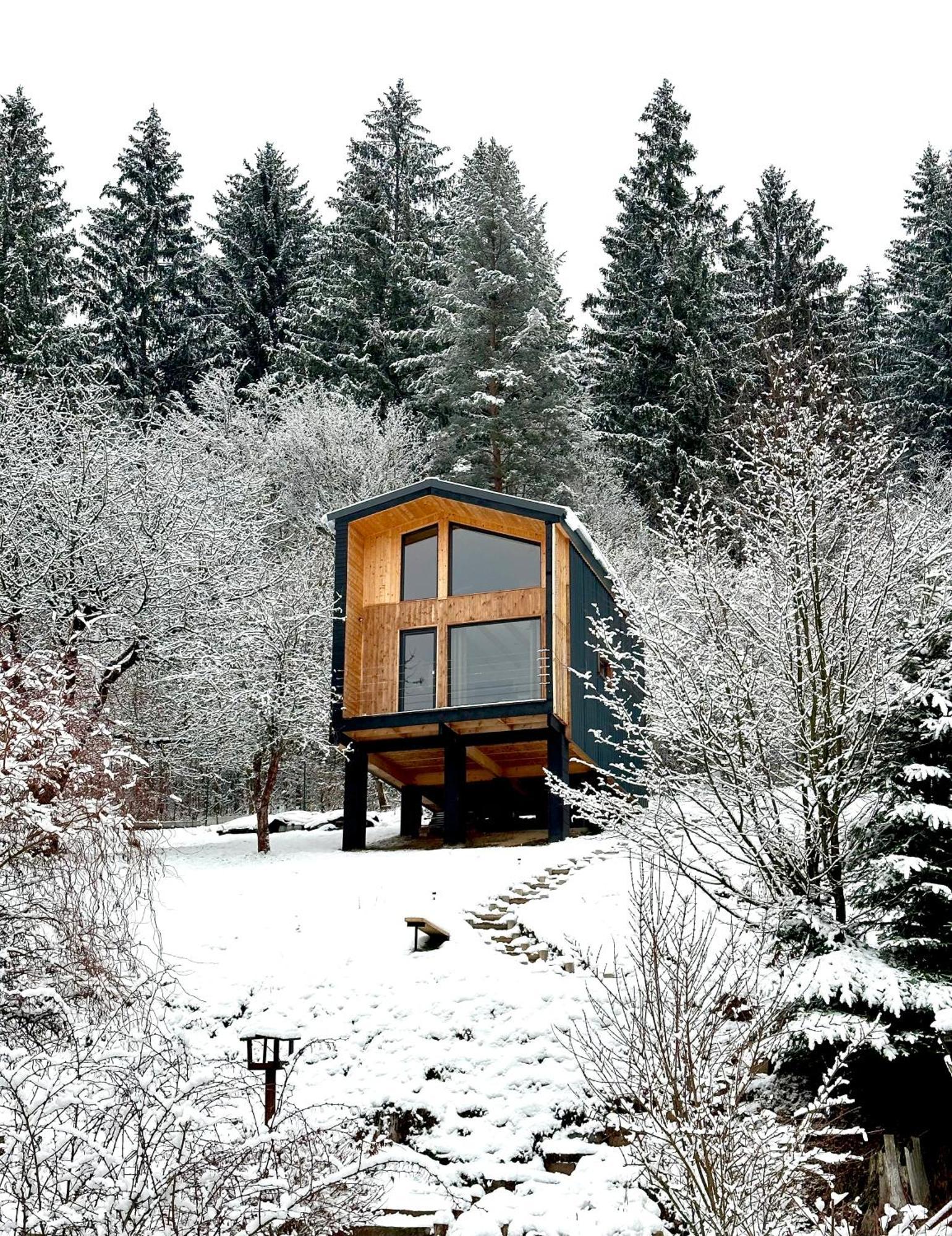 Panorama / Tinyhouse Villa Podbrezova Eksteriør bilde